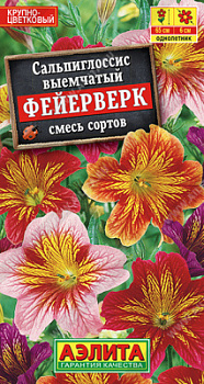 Сальпиглосис Фейерверк