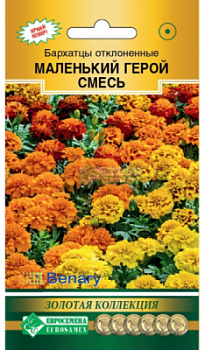 Бархатцы Маленький Герой