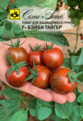 tomat_bebi_tajger