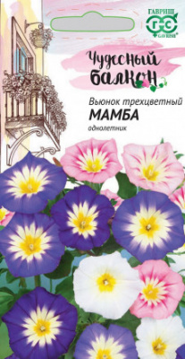 Вьюнок
