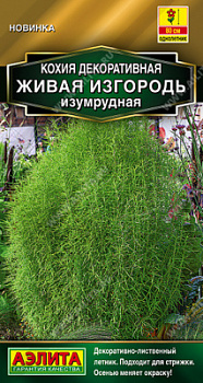 Кохия Живая изгородь изумрудная