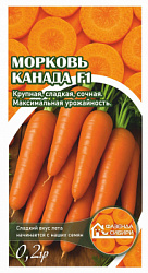 Морковь канада