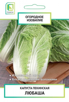 kapusta_pekin_lubasha_og_izob