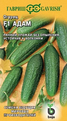 Огурец Адам