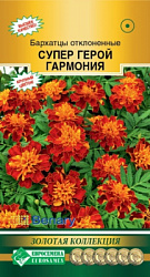Бархатцы супер герой гармония