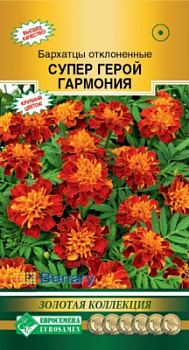 Бархатцы супер герой гармония