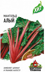 Мангольд