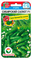 Огурец Сибирский салют
