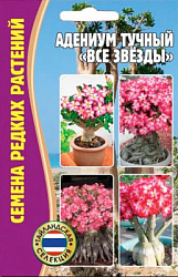 Адениум все звезды