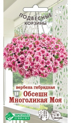 Вербена Многоликая Моя