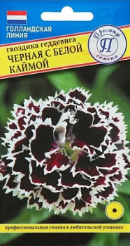 Гвоздика