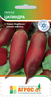 свекла цилиндра