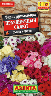 Флокс Праздничный салют, смесь сортов_ЦП