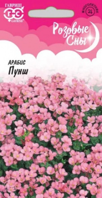 Пунш