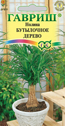Бутылочное дерево