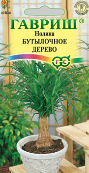Бутылочное дерево
