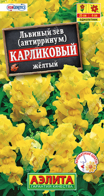 Львиный зев карликовый желтый