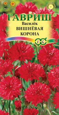 Василек вишневая