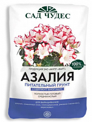 ЦБ-00000915_1