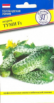 tumi