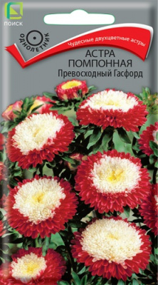 astra_pompon_prevoshod_gasford