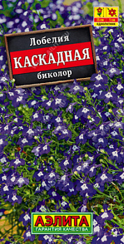 Лобелия каскадная биколор