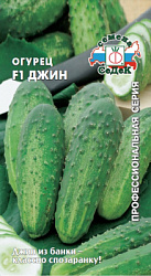 ogurets_dzhin_f1