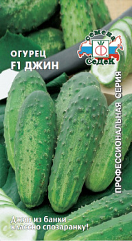 ogurets_dzhin_f1