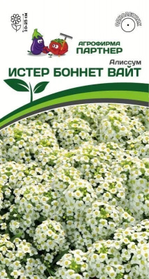 Алиссум истер бонет вайт