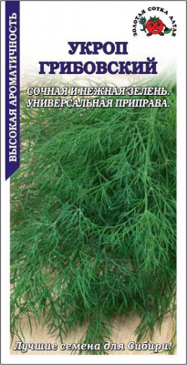 Укроп Грибовский