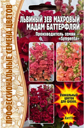 Мадам батерфляй