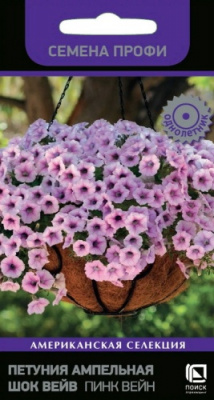 petunia_ampel_shock_wave_pink_vein