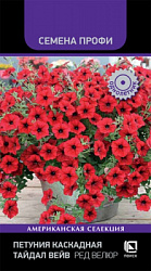 petunia_kaskadnaya_taidal_wave_red_velur