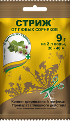 strizh_9_paket_2021
