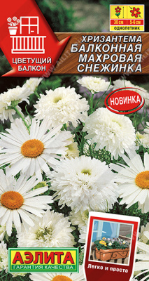 Хризантема балконная Махровая снежинка