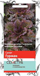salat_gurman_sem