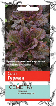 salat_gurman_sem