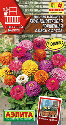 Цинния Крупноцвет