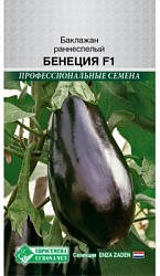 Баклажан Бенеция