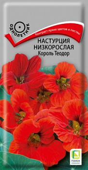 nastrucia_nizkorosl_korol_teodor