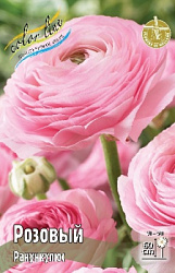 Ranunculus%20Pink 1