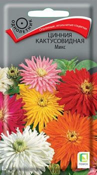 cinnia_kaktus_mix_paket