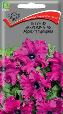 Петуния бахромчатая Афродита Пурпурная