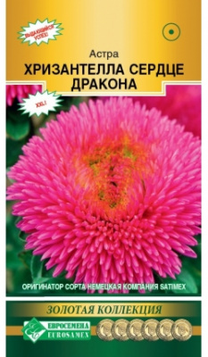 Астра Хризантелла Сердце дракона