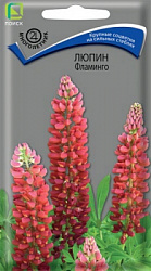 Люпин Фламинго