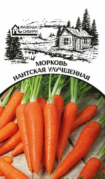 morkov nantskaya uluchshennaya faz