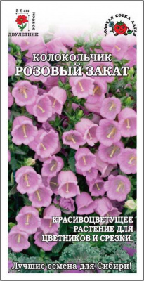 Колокольчик розовый закат