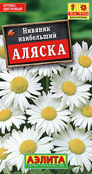 Нивяник наибольший Аляска_ЦП
