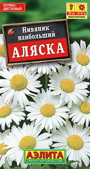 Нивяник наибольший Аляска_ЦП