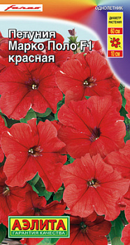 Петуния Марко Поло F1 красная_ЦП